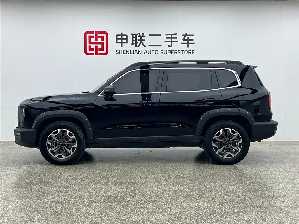 Haval Big Dog 2024 2.0T DCT Chinese Rural Dog Edition фото 4