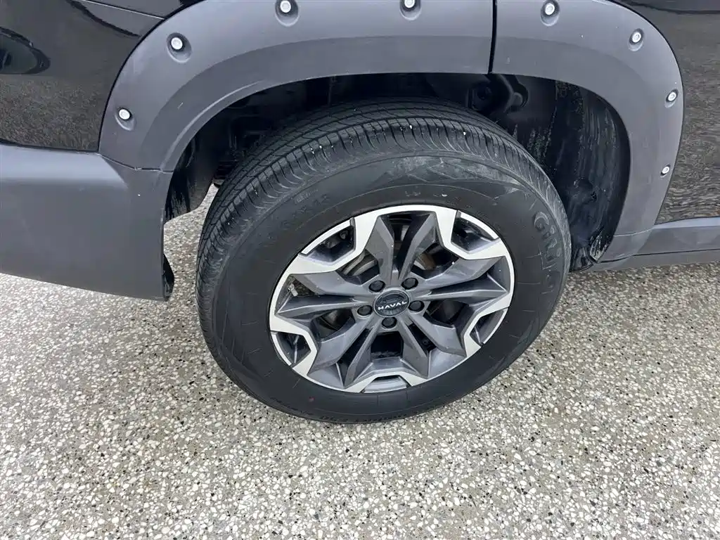 Haval Big Dog 2024 2.0T DCT Chinese Rural Dog Edition фото 12