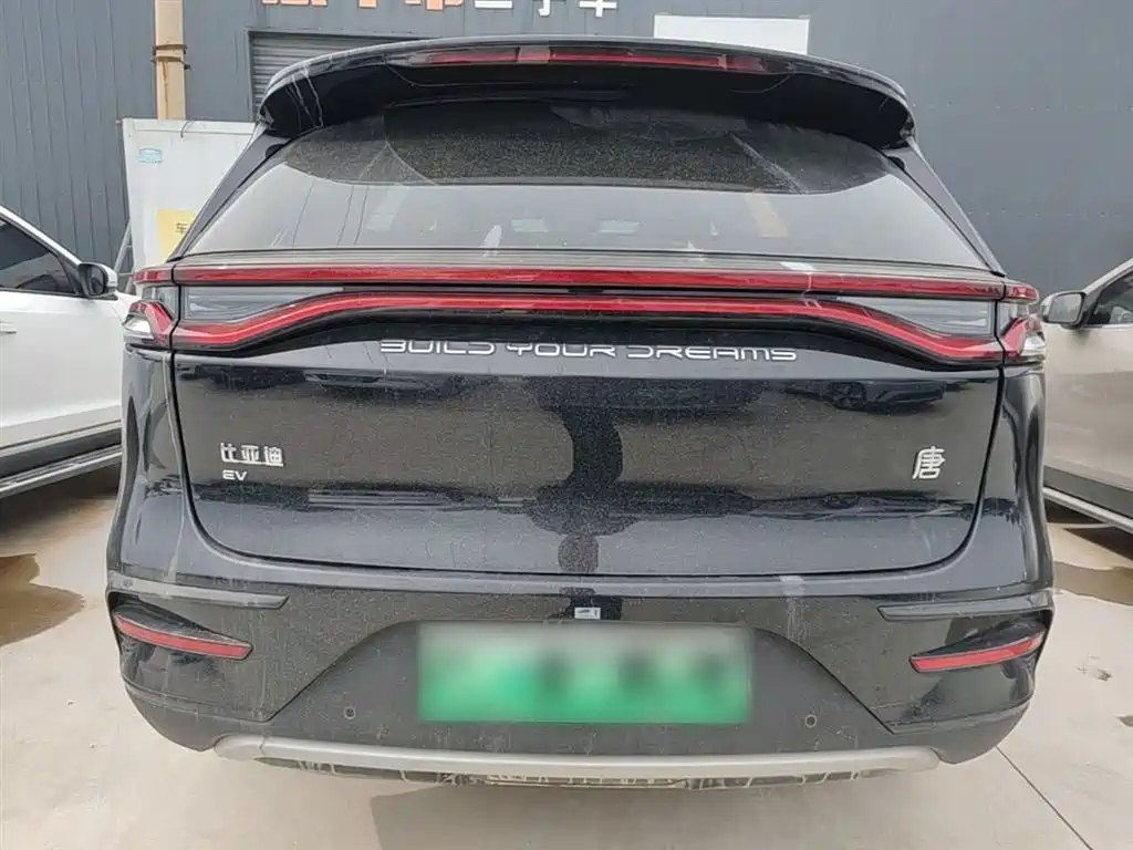 BYD Tang New Energy 2022 EV 730KM Premium фото 4