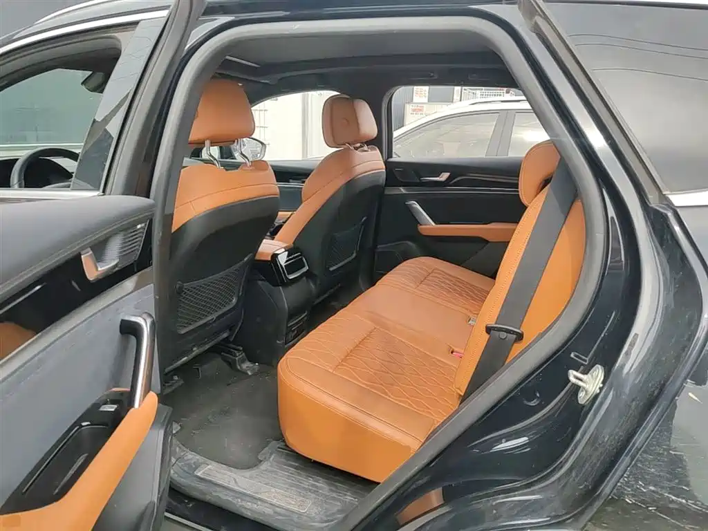 BYD Tang New Energy 2022 EV 730KM Premium фото 13