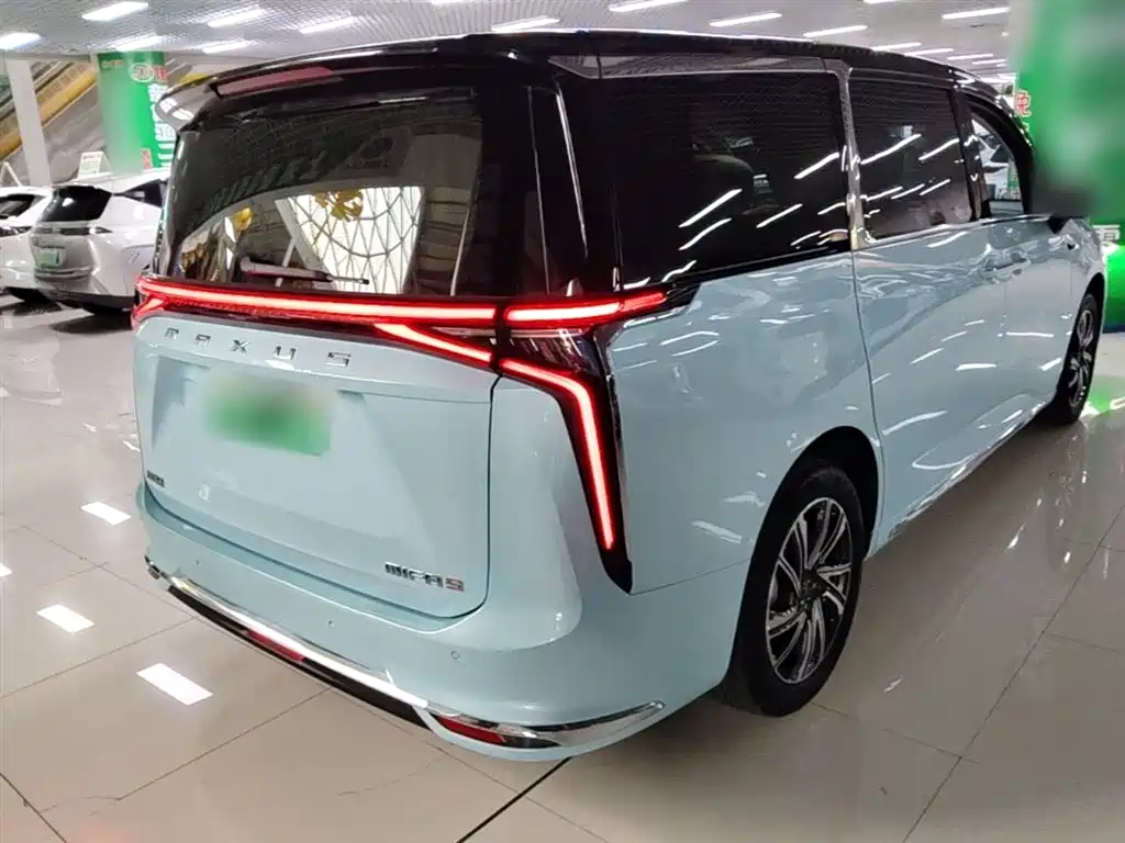 SAIC Maxus Dajia 9 2022 Long Range Forest 7-Seater фото 7