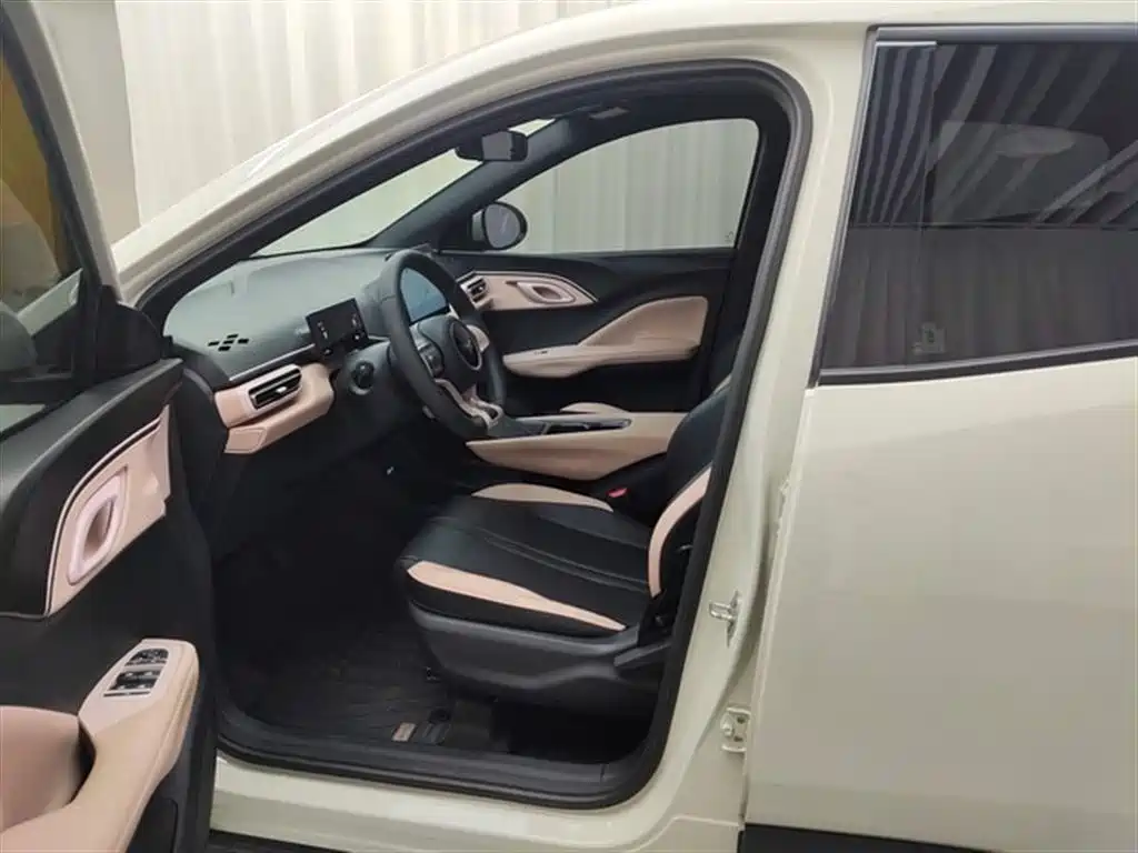 BYD Seagull 2025 305km Vitality фото 12