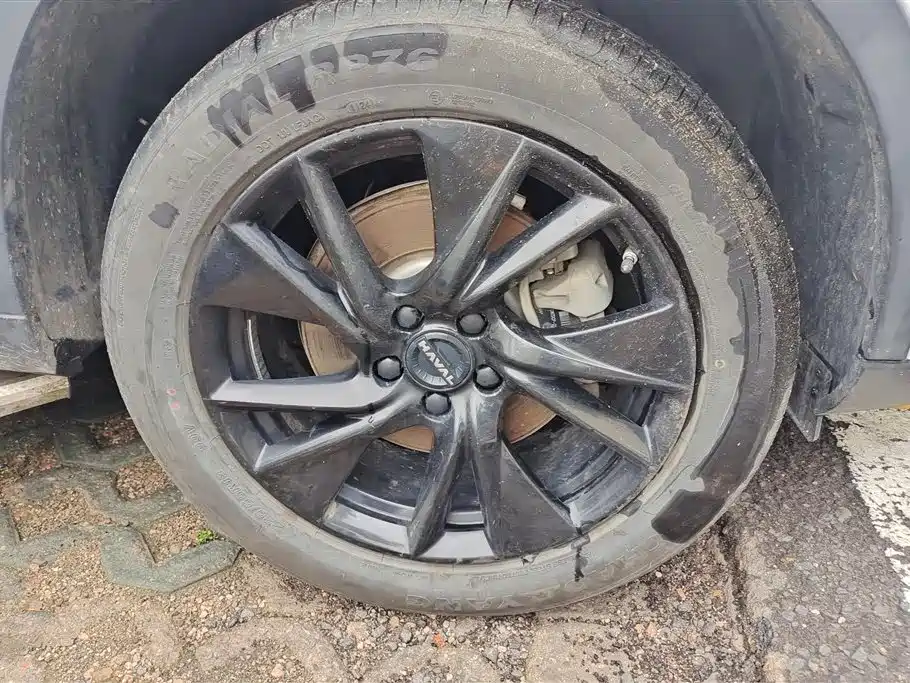 Haval H6 2021 3rd Generation 2.0T Auto AWD Max фото 6