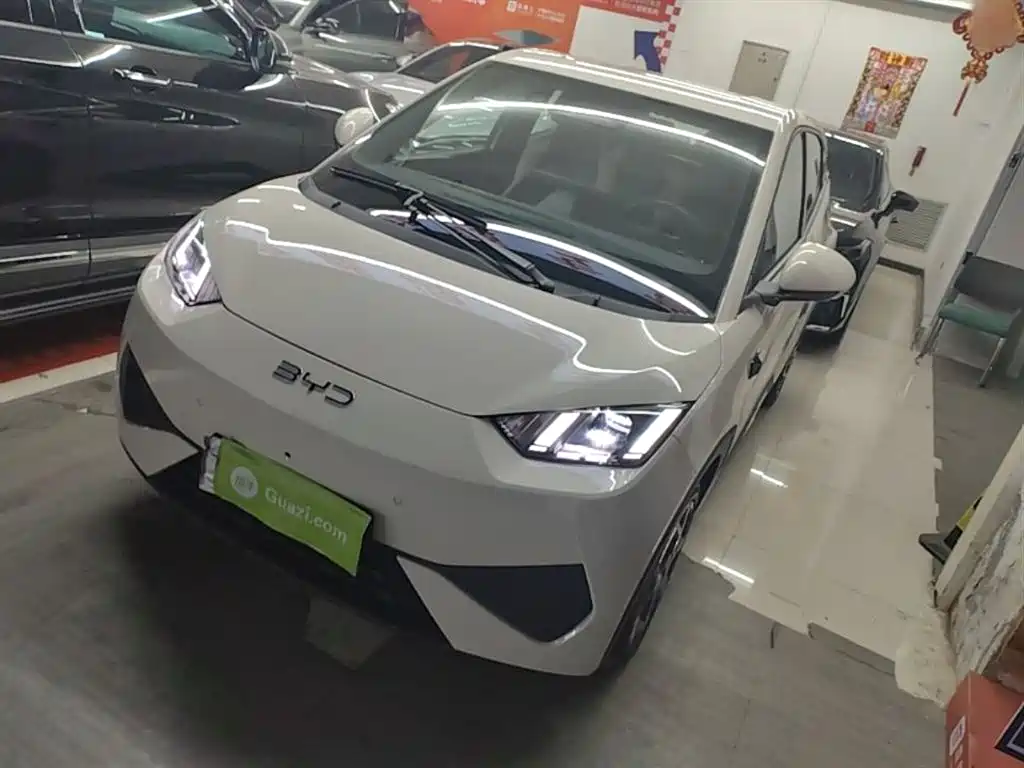 BYD Seagull 2025 Smart Drive Edition 305km Freedom Version
