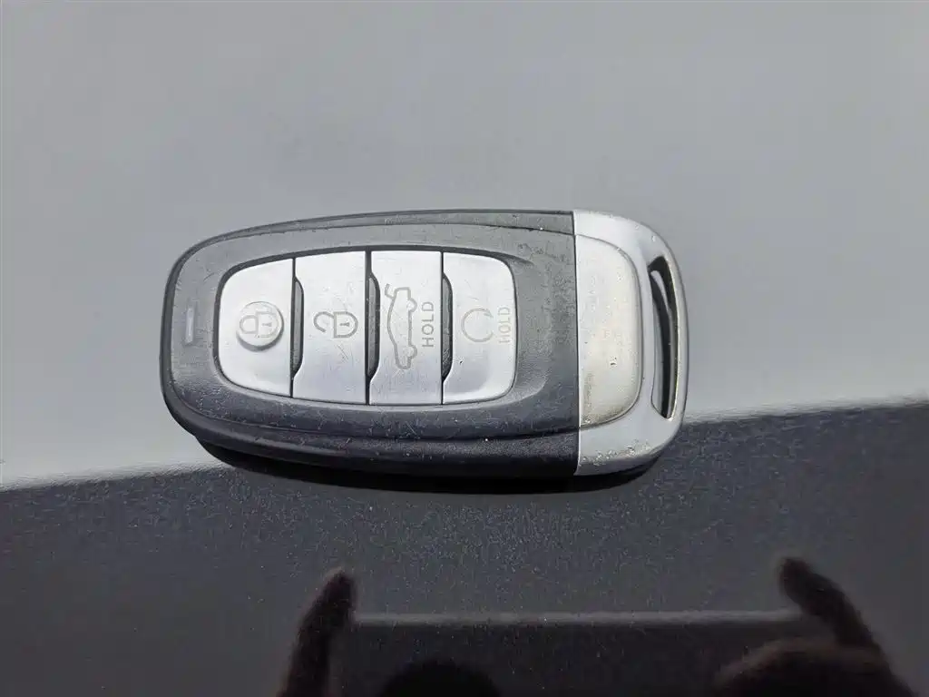 Hongqi H5 2019 30TD Style Edition фото 19