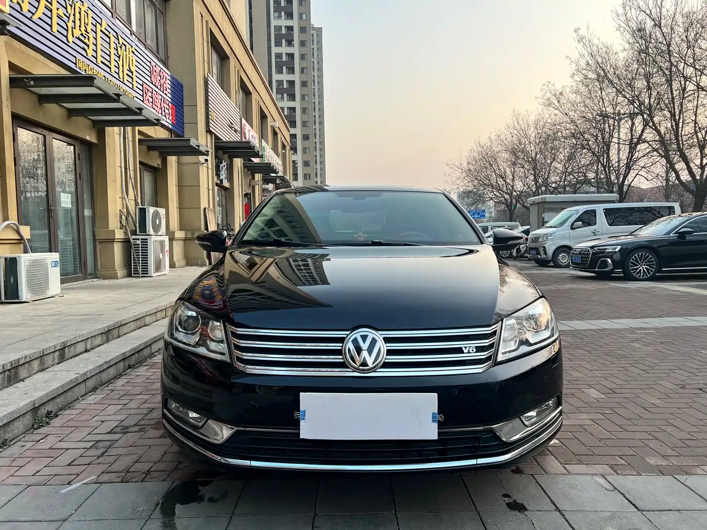 Volkswagen Magotan 2013 3.0FSI Flagship Model фото 2
