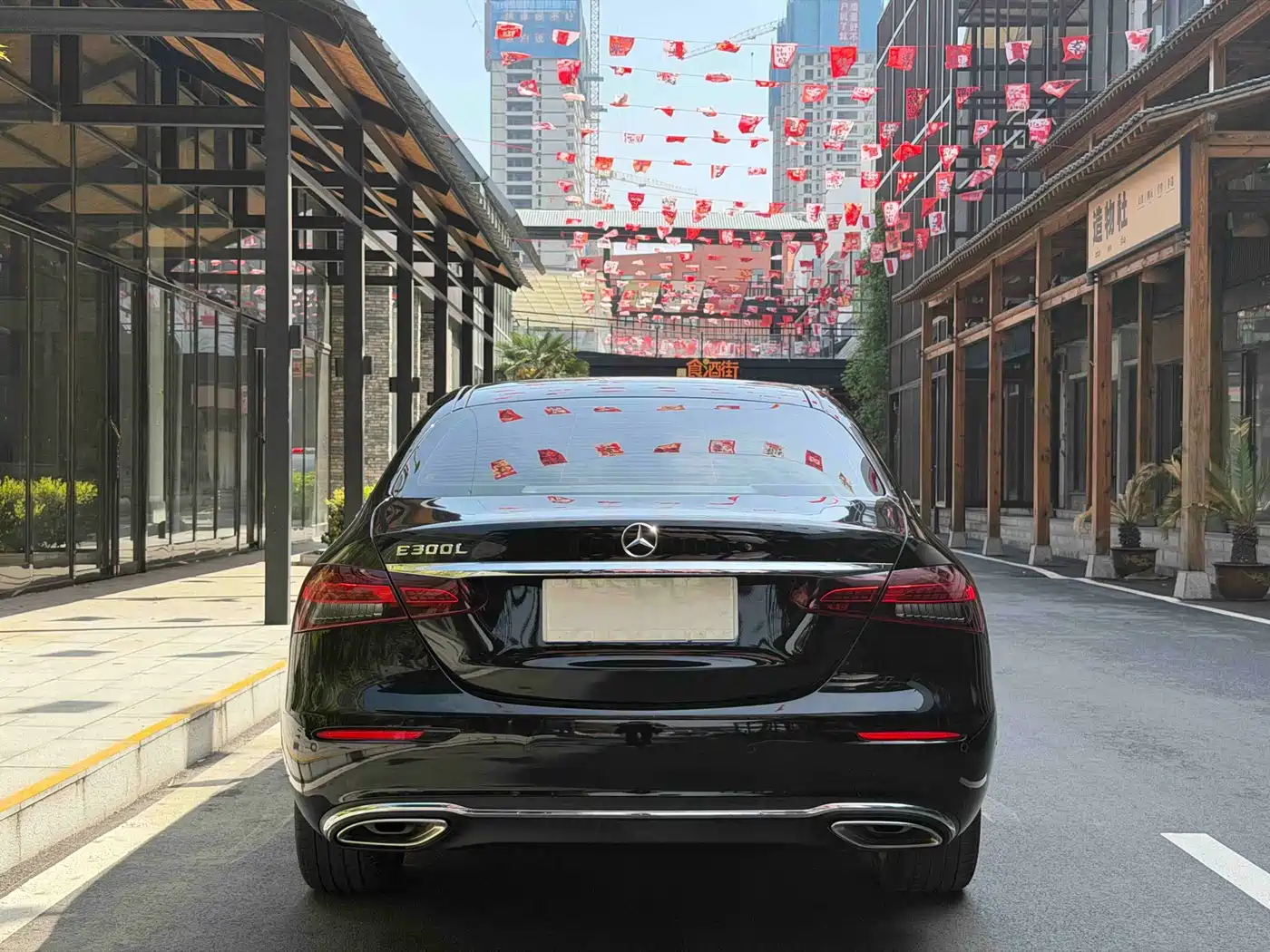 Mercedes-Benz E-Class 2023 E 300 L Luxury фото 8