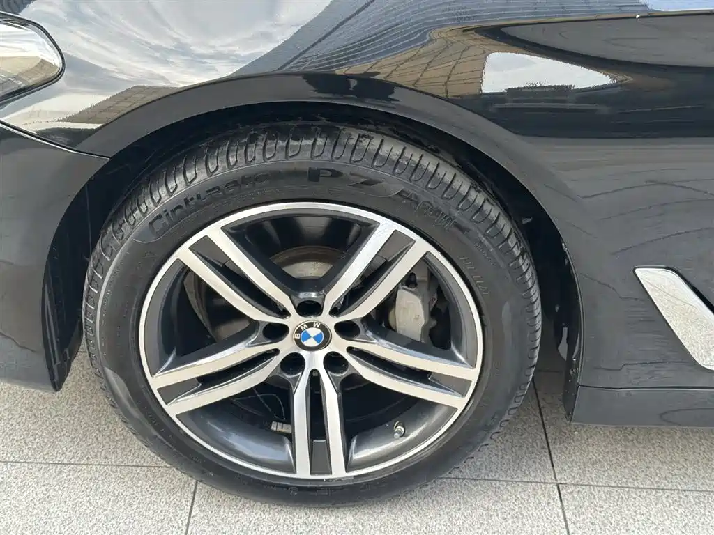 BMW 5 Series 2021 530Li Leading Luxury Package фото 19