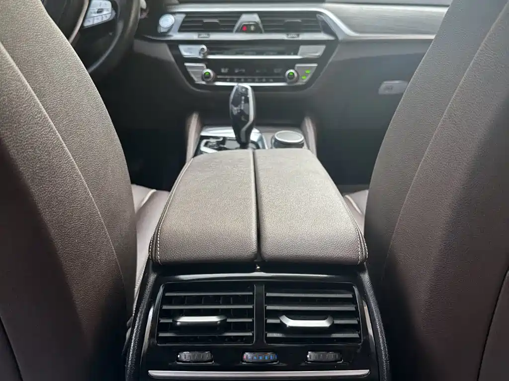 BMW 5 Series 2021 530Li Leading Luxury Package фото 12