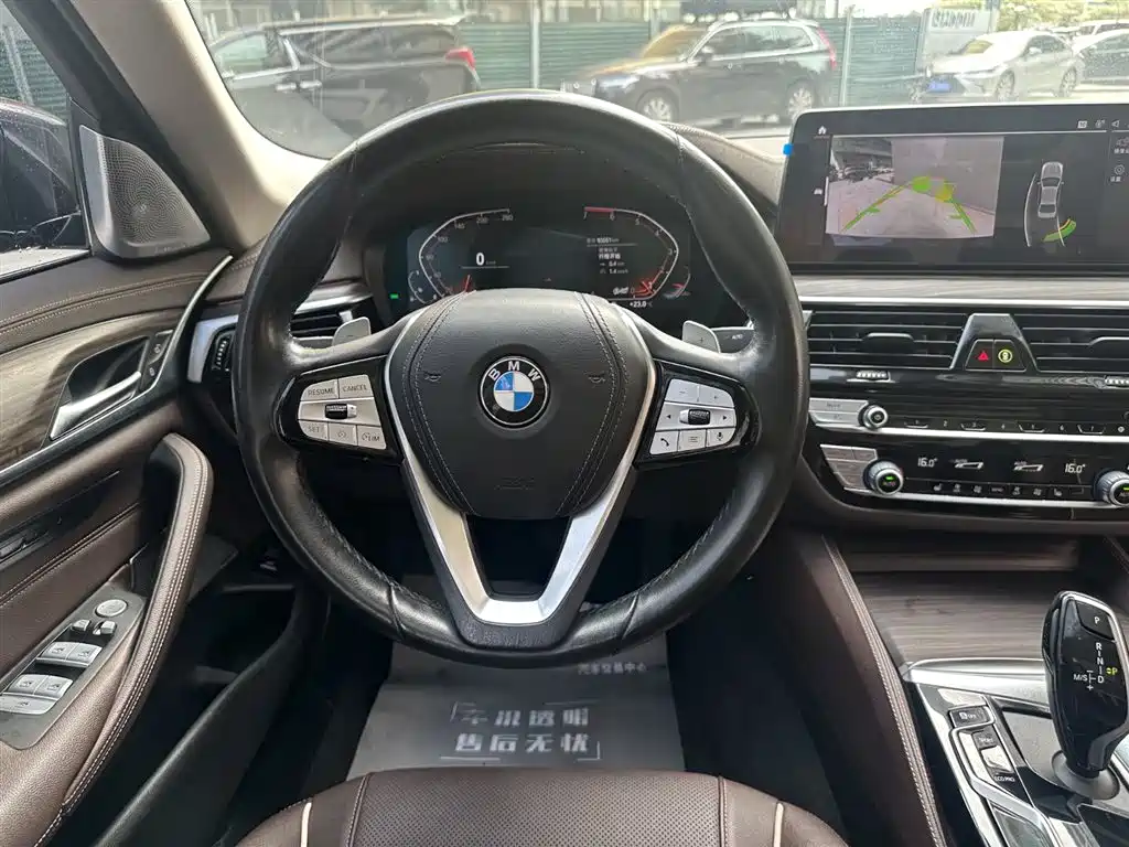 BMW 5 Series 2021 530Li Leading Luxury Package фото 9