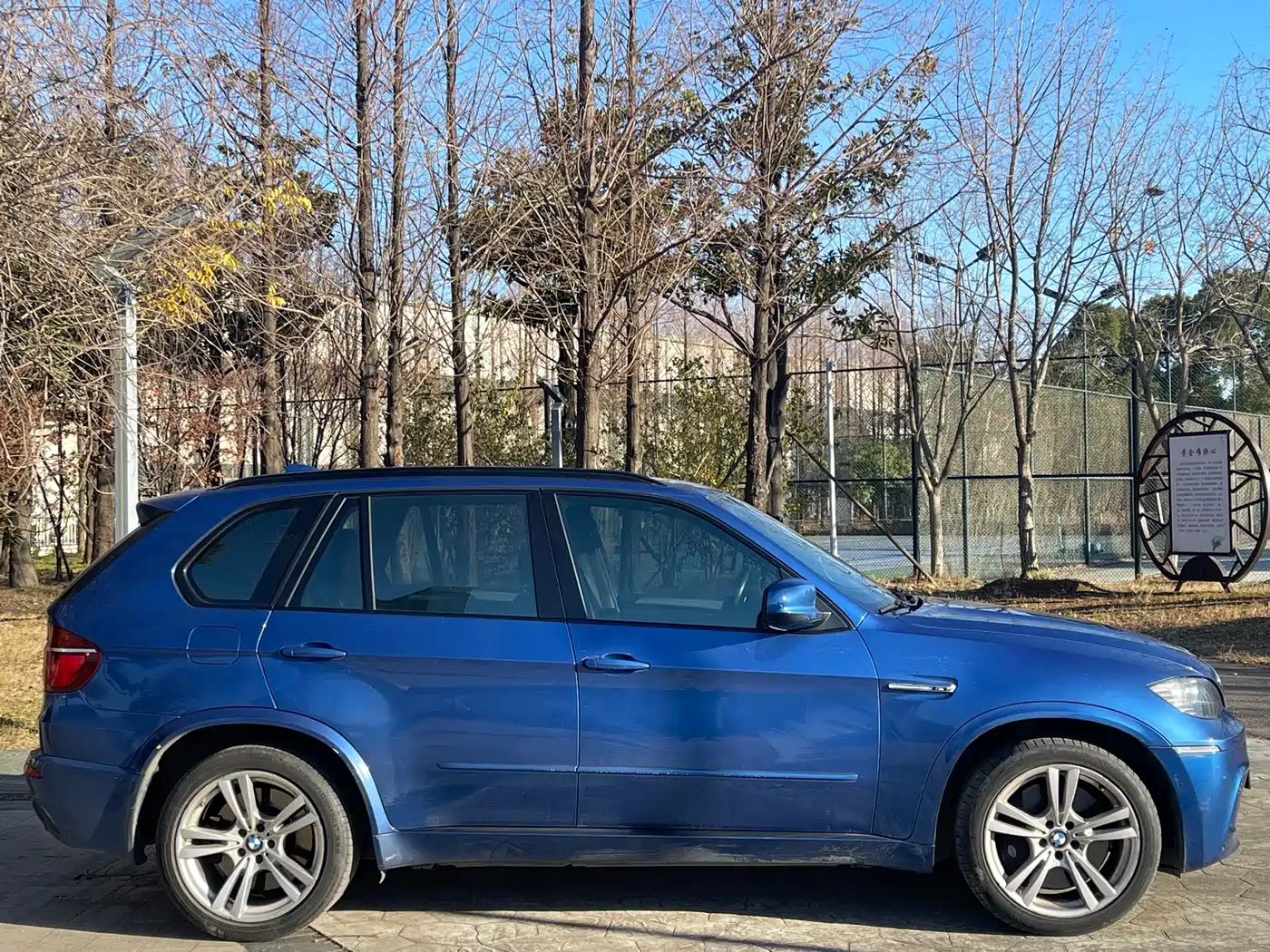 BMW X5 M 2010 X5 M фото 4
