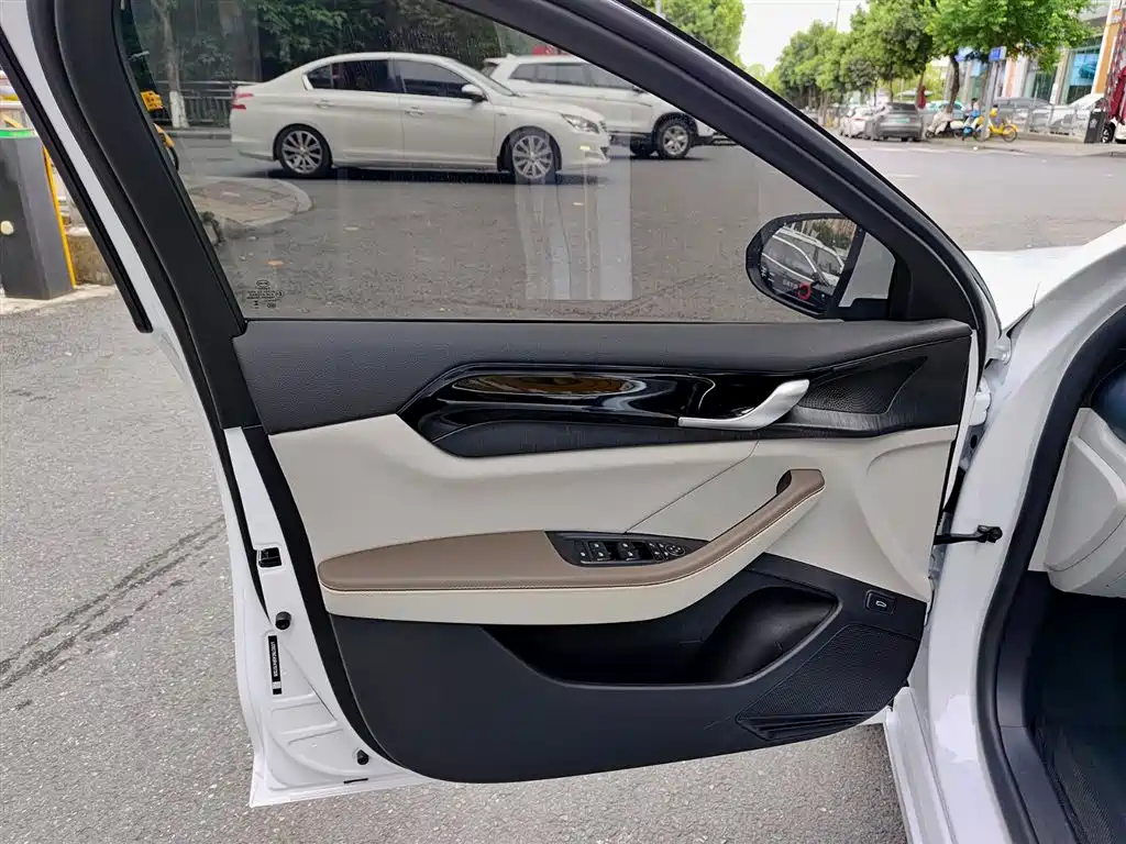 BYD Qin PLUS 2024 Glory Edition DM-i 55KM Leading фото 6