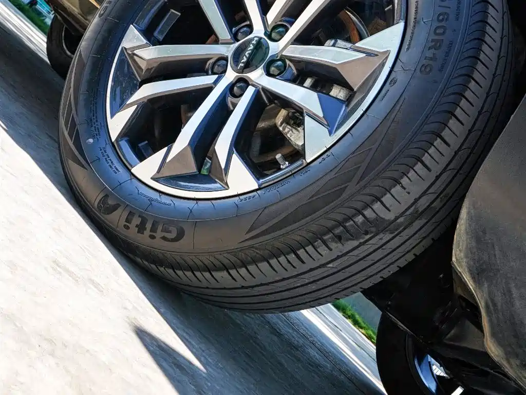 Haval Big Dog 2024 Model 1.5T DCT Labrador Edition фото 21