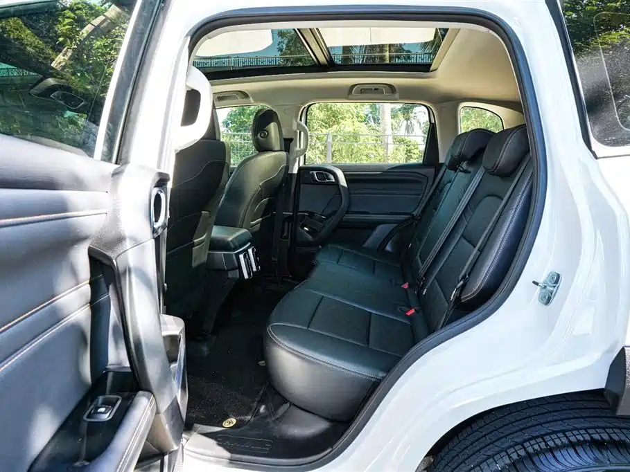 Haval Big Dog 2024 Model 1.5T DCT Labrador Edition фото 17