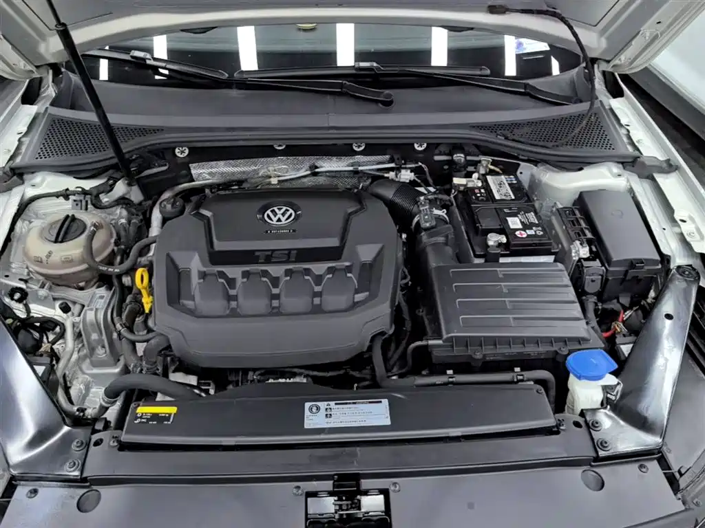 Volkswagen Magotan 2019 330TSI DSG Leading China V фото 20