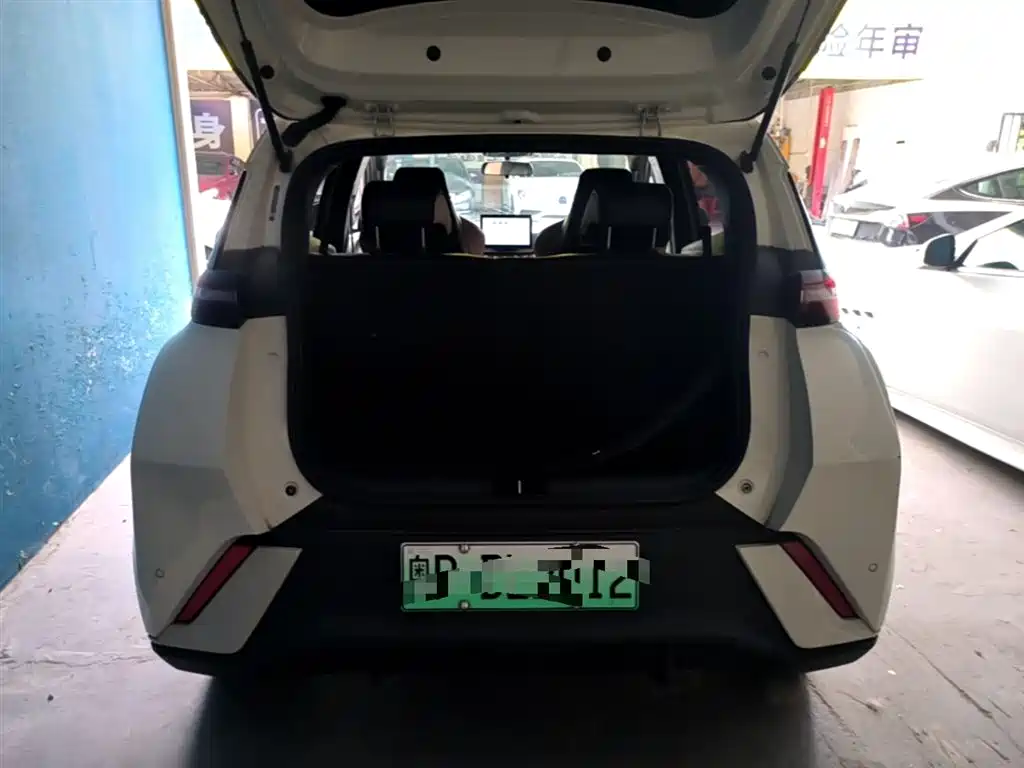 BYD Seagull 2023 Vitality Edition фото 19