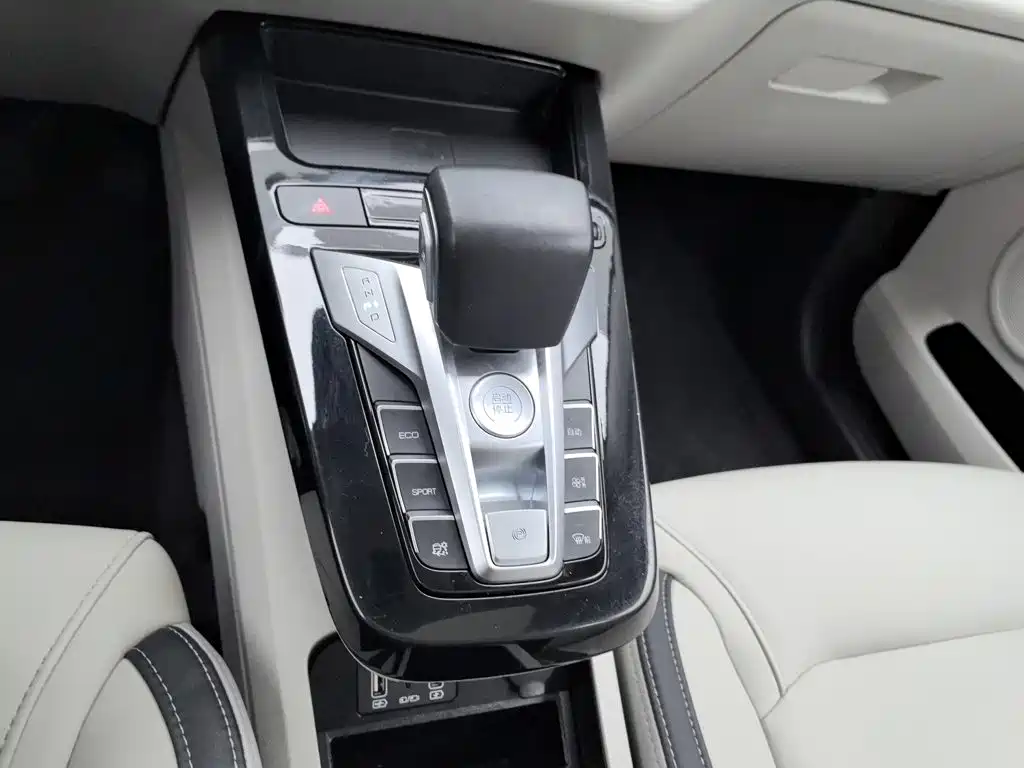 BYD Yuan Pro 2022 2021 401KM Premium Model