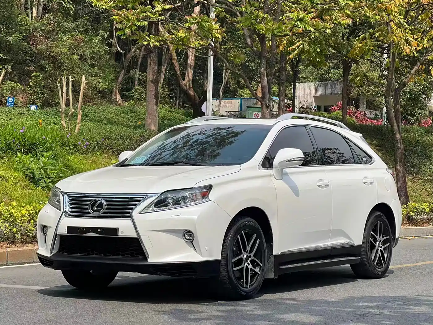 Lexus RX Classic 2014 2013 270 Elite