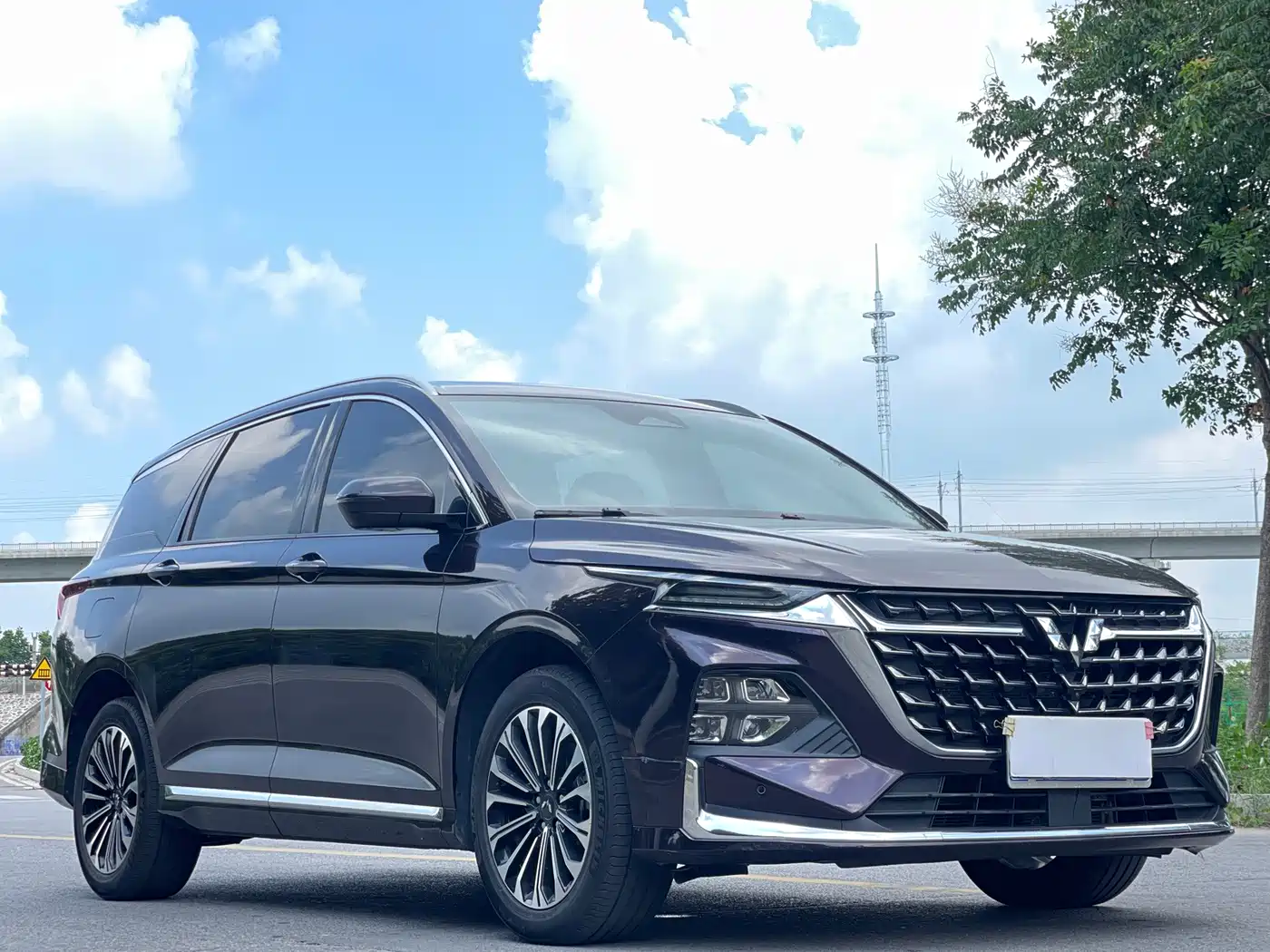 Wuling Motors Wuling Victory 2023 2023 2.0L DHT Luxury Edition