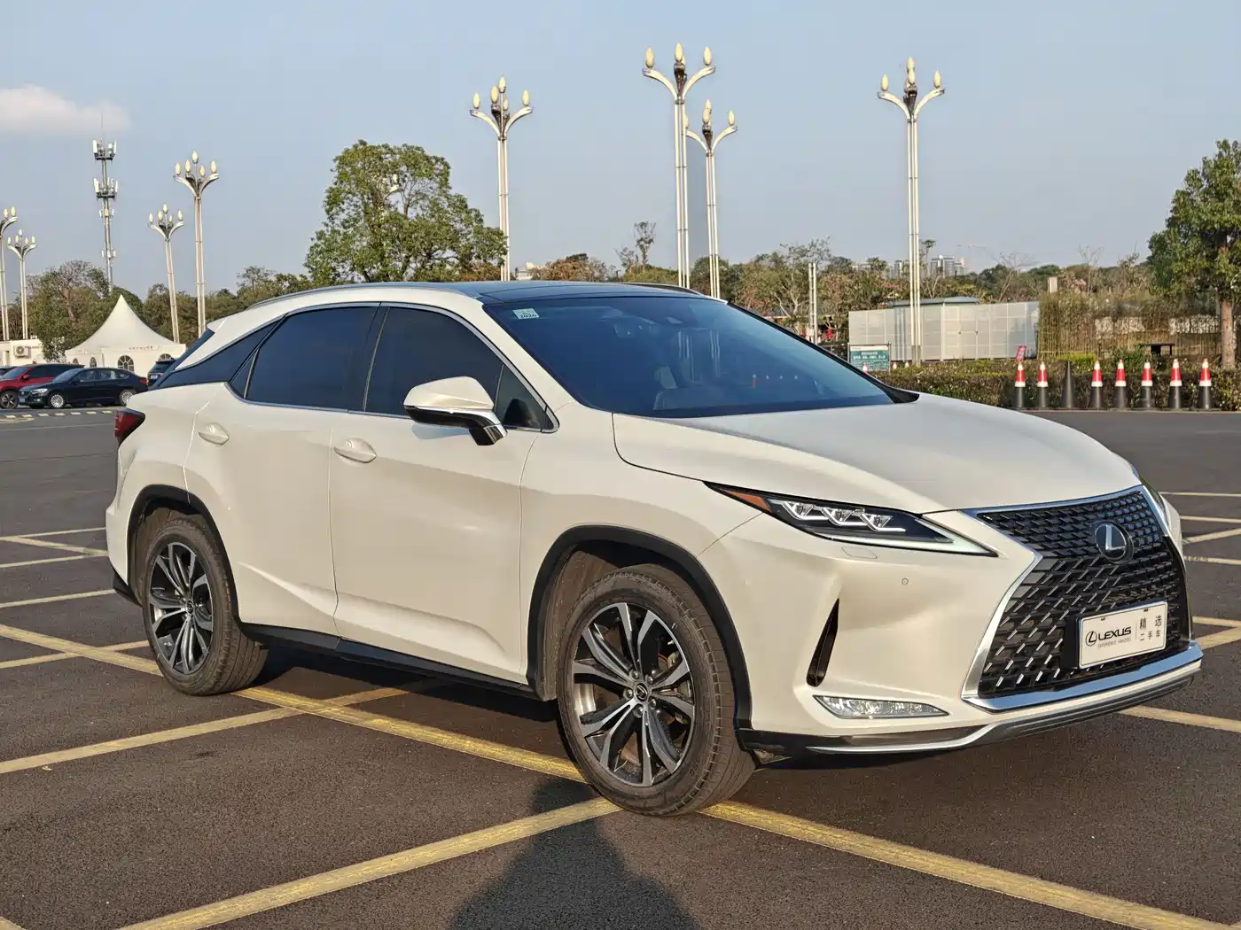 Lexus RX 2020 300 4WD Elegance Edition China VI фото 3