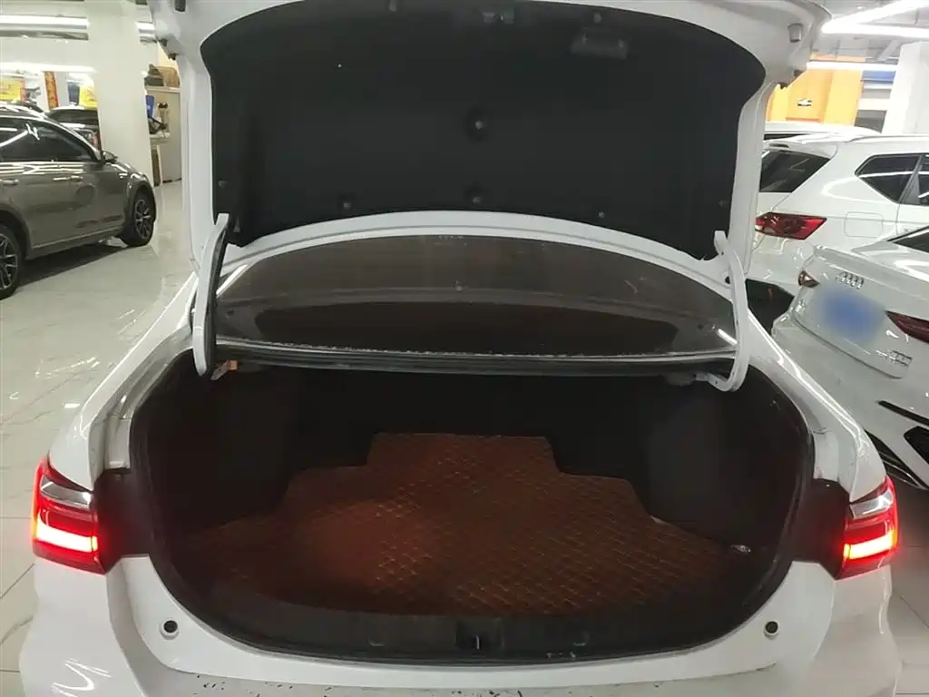 BYD Qin 2019 1.5L Automatic Luxury Edition фото 19