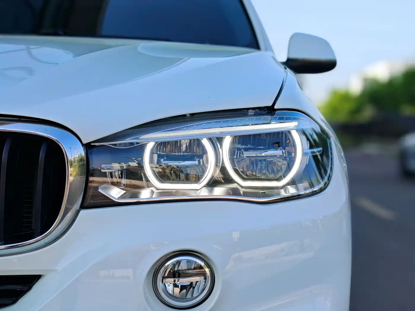 BMW X5 (Import) 2017 xDrive35i Leading Edition фото 12