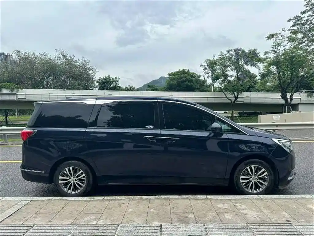 Buick GL8 2017 ES 28T Luxury China V фото 9