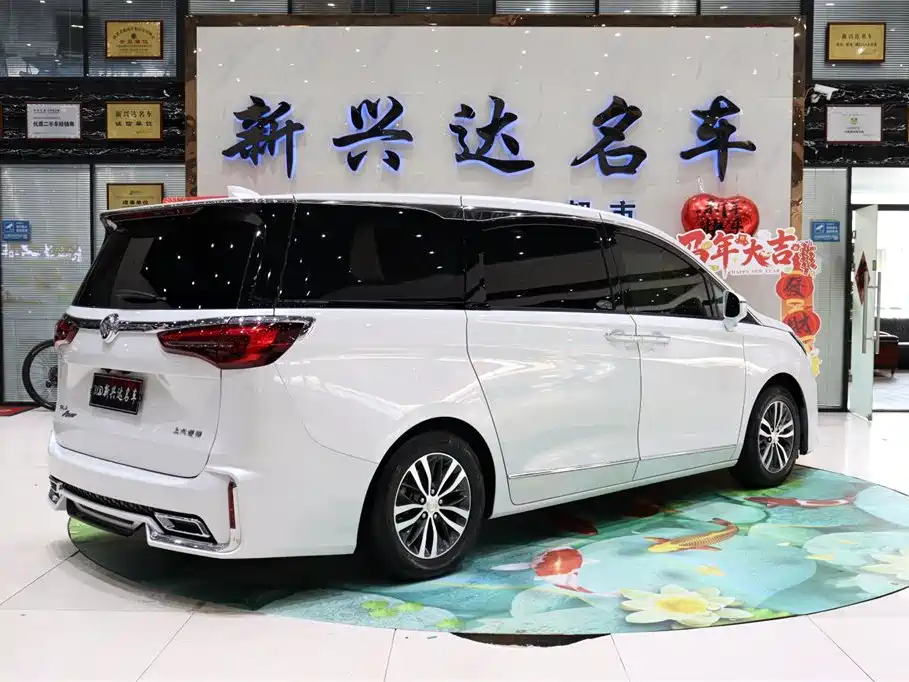 Buick GL8 2021 ES Landlord 653T Premium фото 5