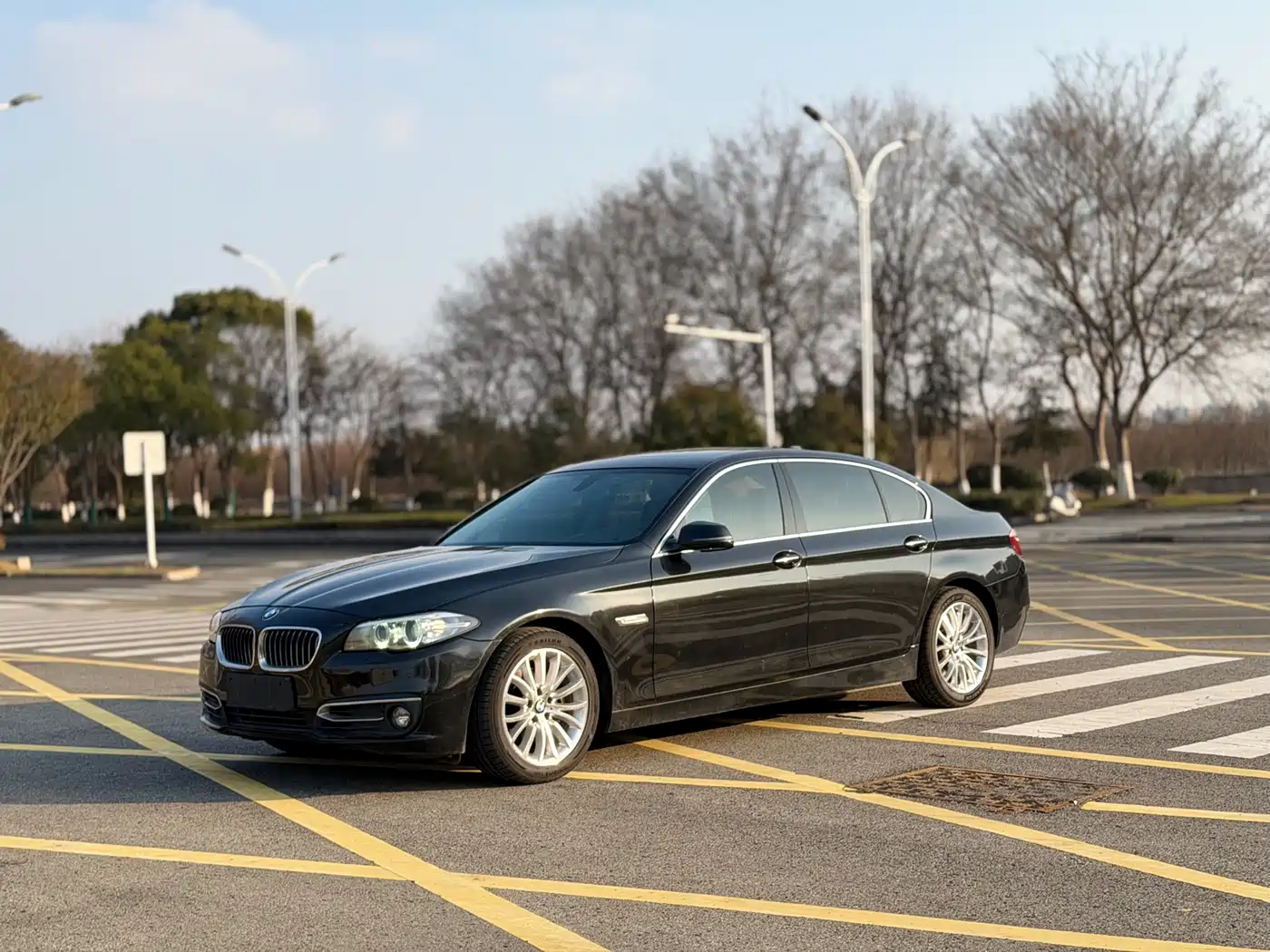 BMW 5 Series 2014 525Li Luxury Design Package
