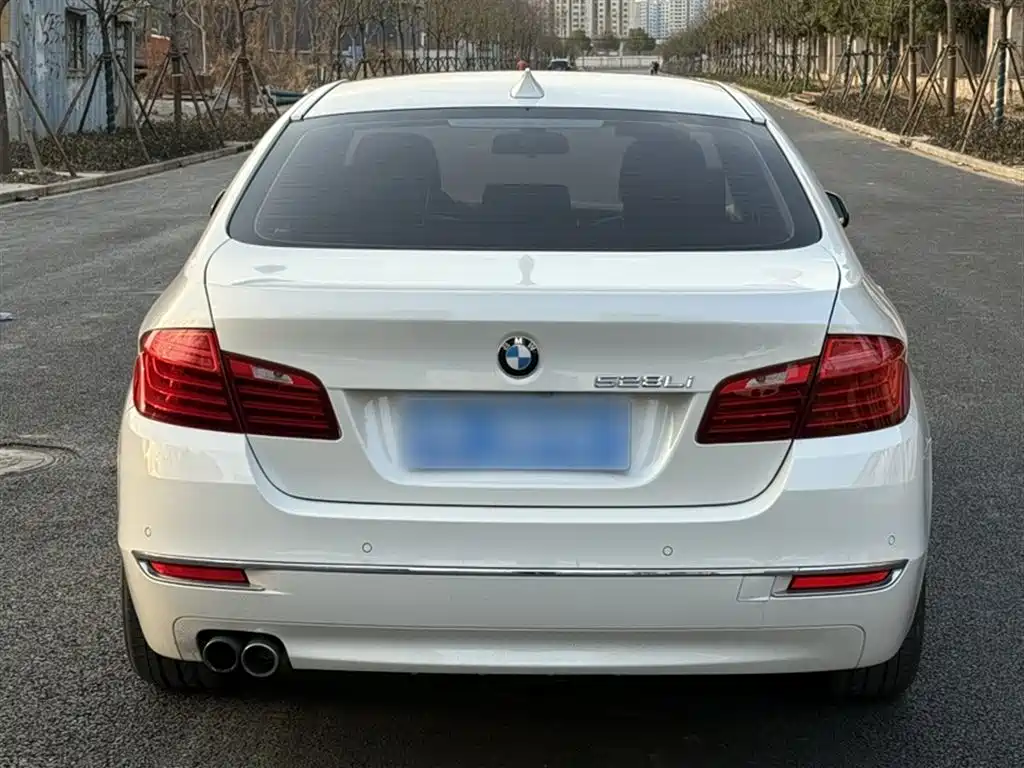 BMW 5 Series 2014 528Li Luxury Design Package фото 11