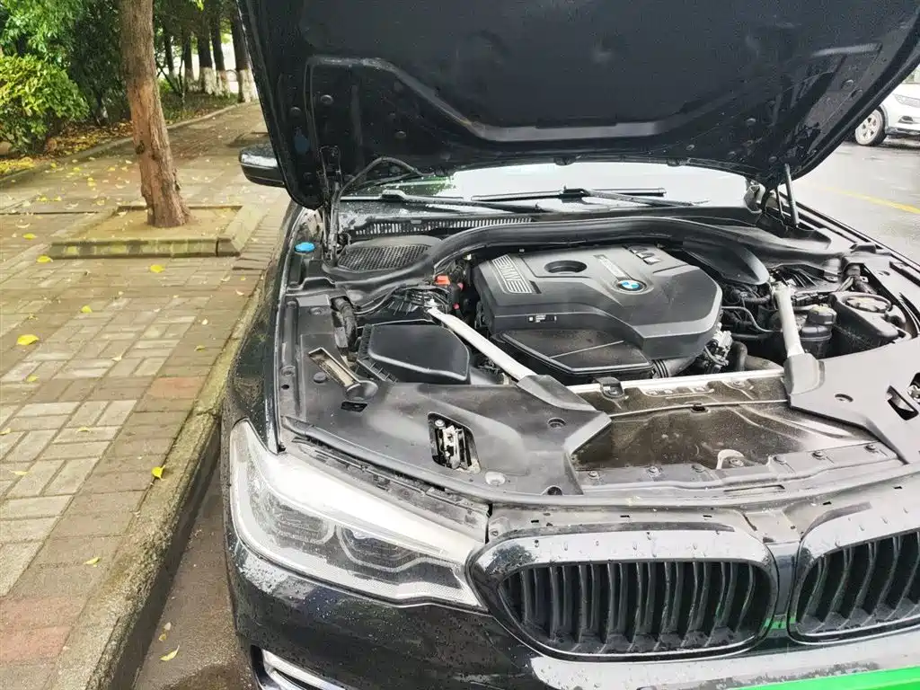 BMW 5 Series 2020 530Li Leading Luxury Package фото 21