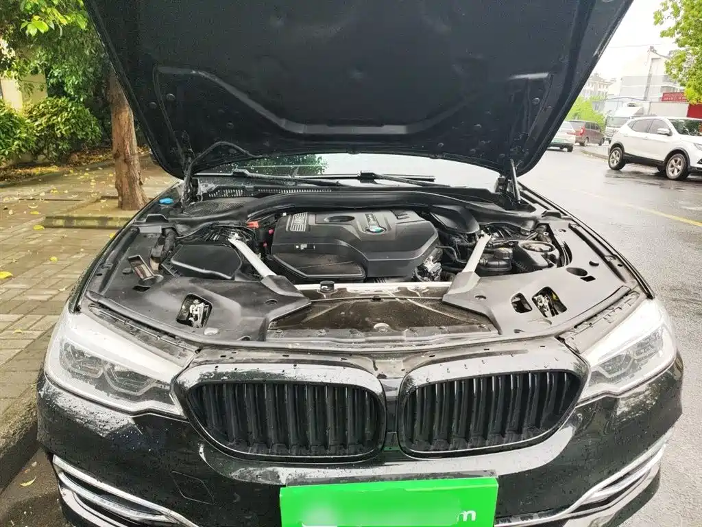 BMW 5 Series 2020 530Li Leading Luxury Package фото 11