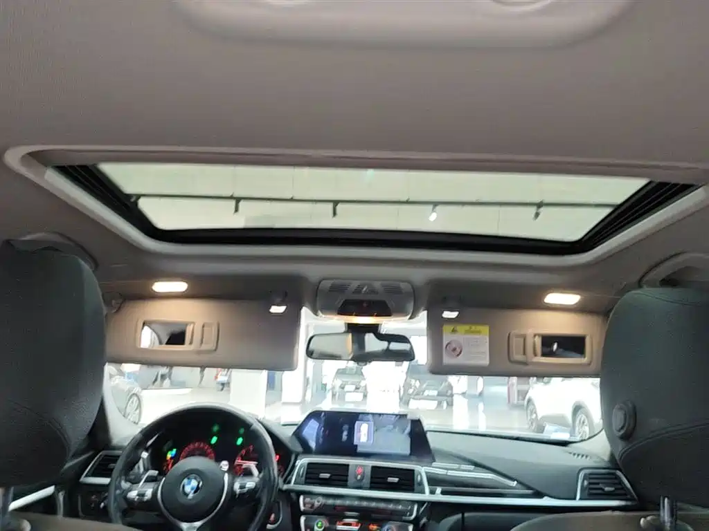 BMW 3 Series 2019 320Li M Sport Black Night Edition фото 18
