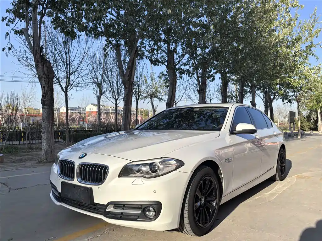 BMW 5 Series 2017 520Li Classic Edition фото 2
