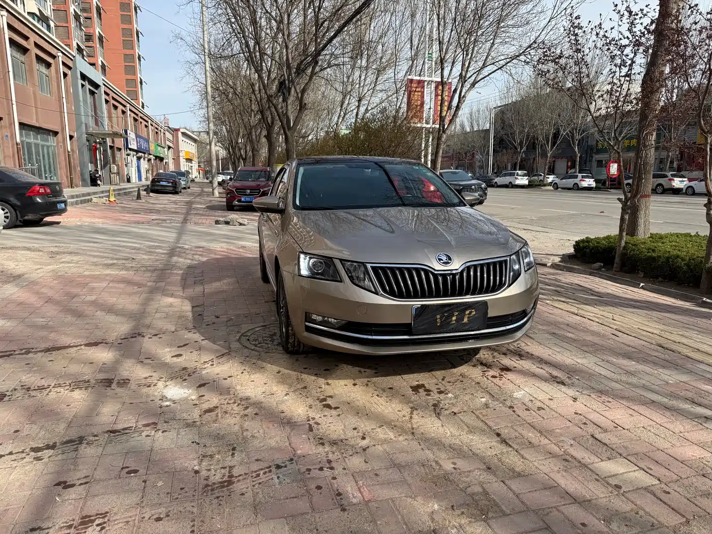 Škoda Octavia 2018 TSI230 DSG Luxury Edition фото 2
