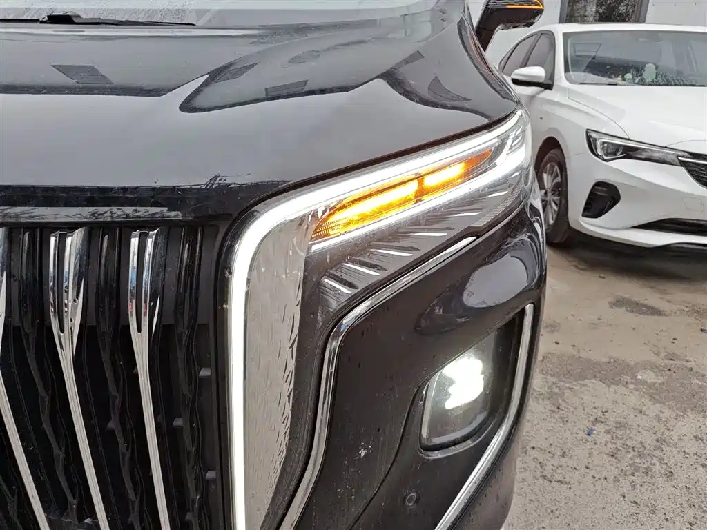 Hongqi HQ9 2023 2.0T Smart Connect Flag Enjoy Edition фото 24