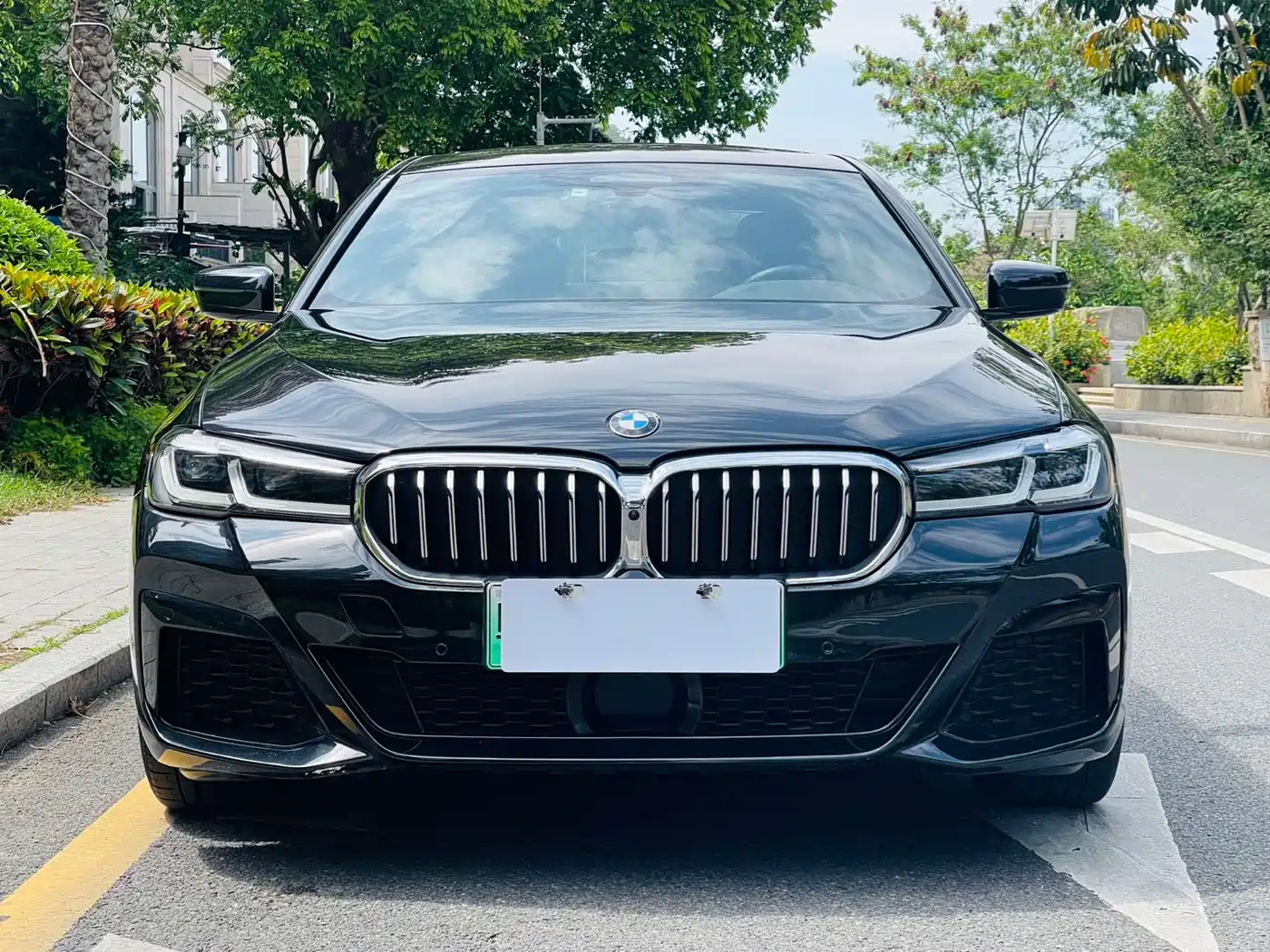 BMW 5 SERIES NEW ENERGY