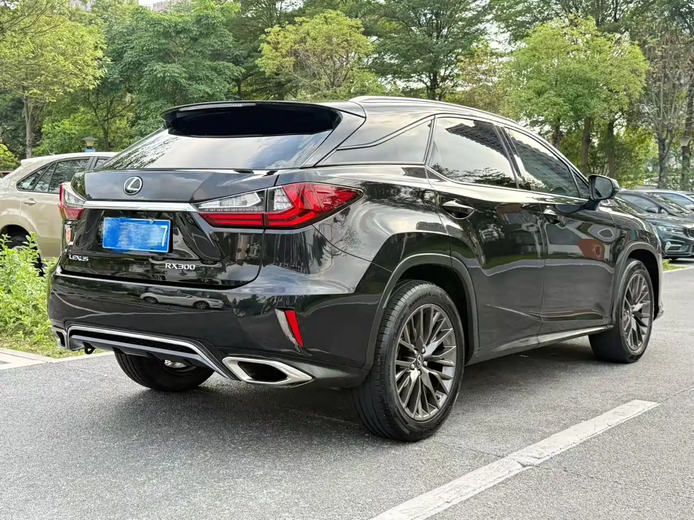 Lexus RX 2016 300 AWD F SPORT Edition China V фото 17