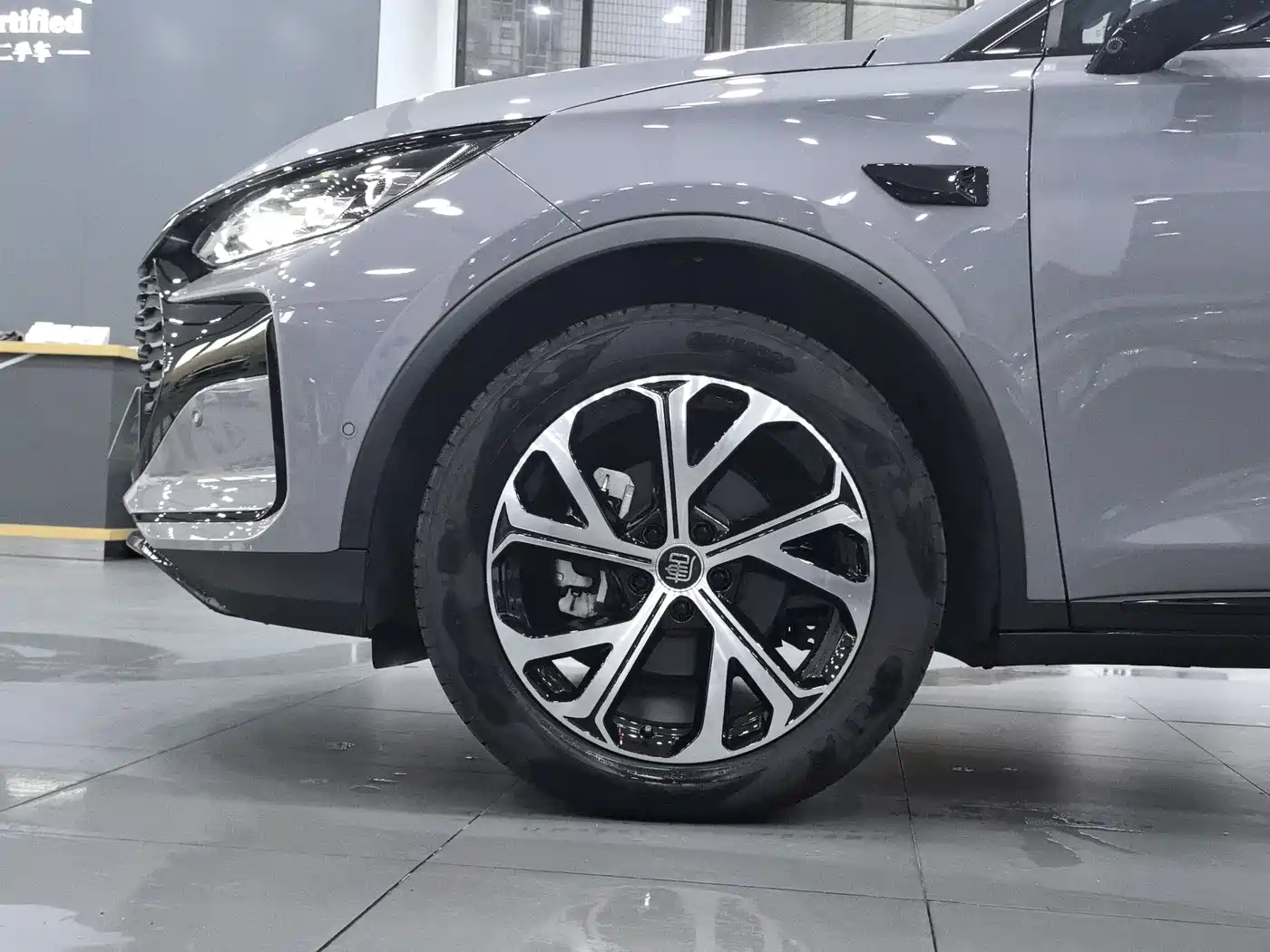 BYD Tang New Energy 2025 Smart Driving Edition DM-i 115KM Flagship фото 10