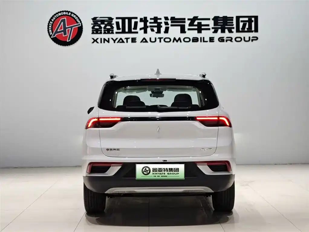 Ruilan Auto Ruilan 9 2024 2023 380km Trend Edition
