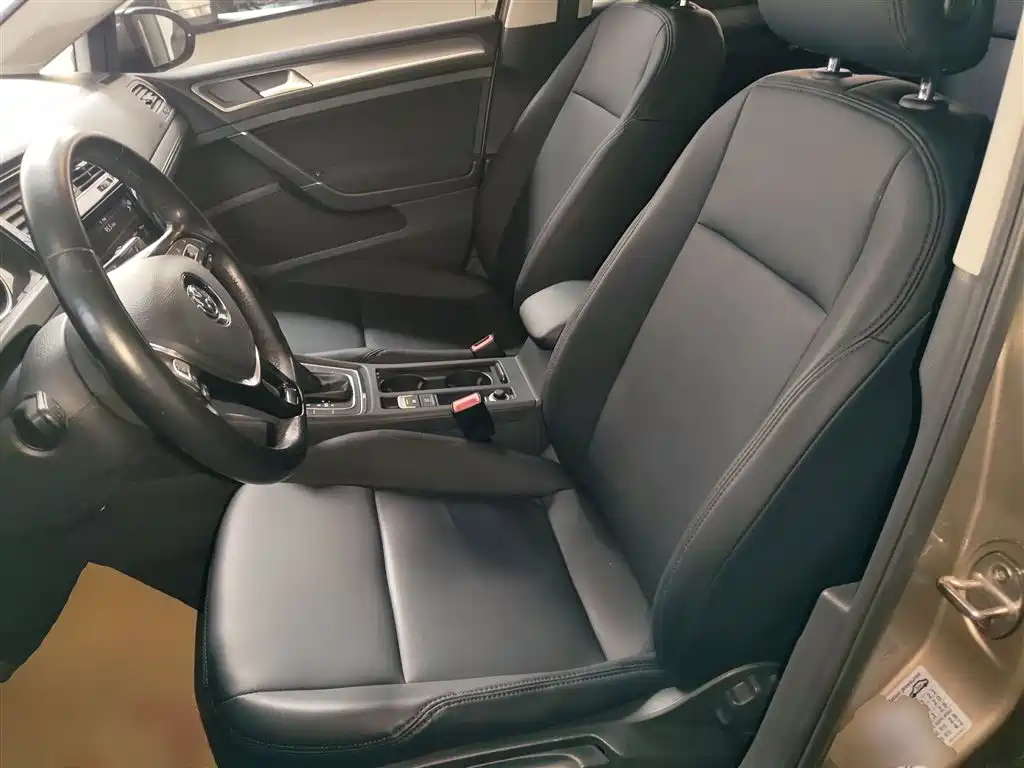 Volkswagen Golf 2019 200TSI DSG Comfort Progressive China VI фото 15