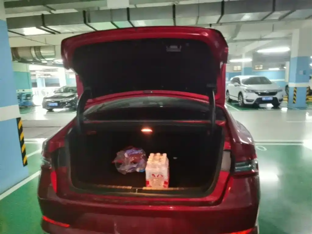 BYD Qin Pro New Energy 2019 EV Super Edition High Power Long Range Smart Connected Pioneer Type фото 19
