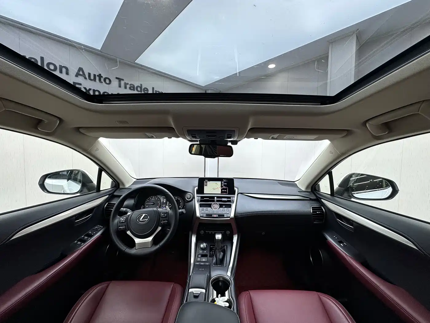 LEXUS NX