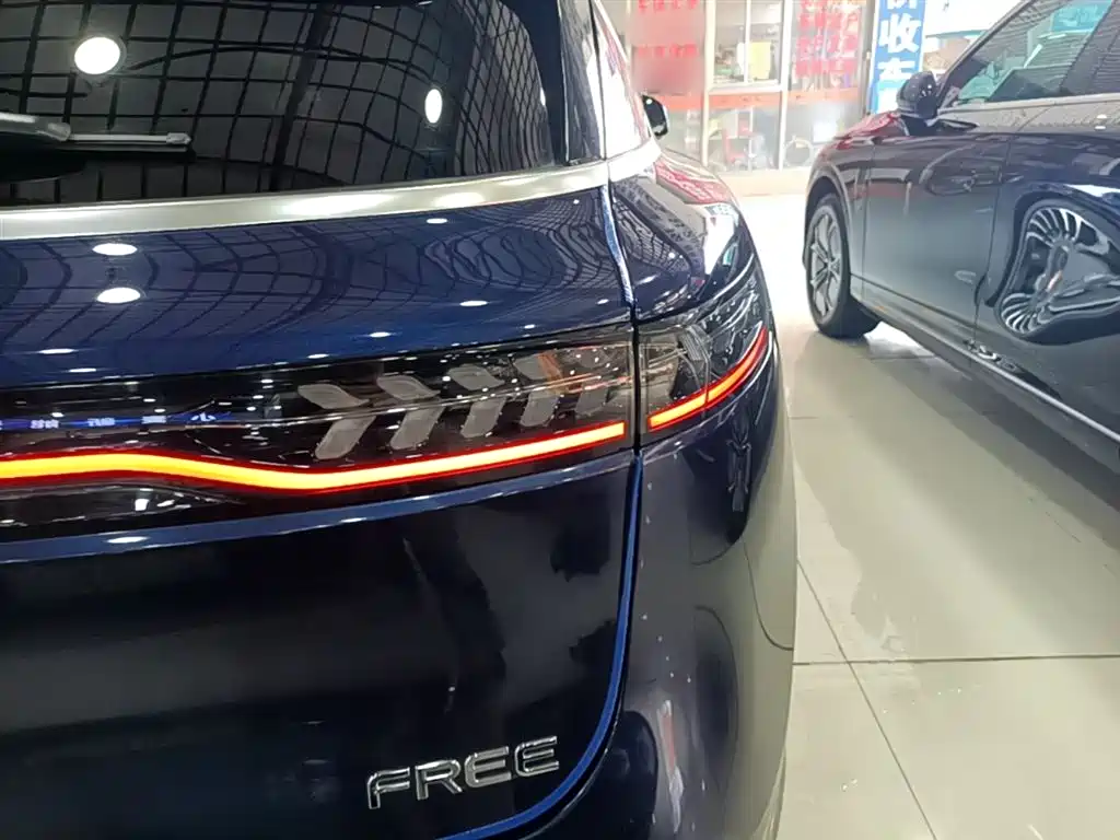 Voyah Auto VOYAH FREE 2021 AWD Standard Range Extender Exclusive Luxury Package фото 8