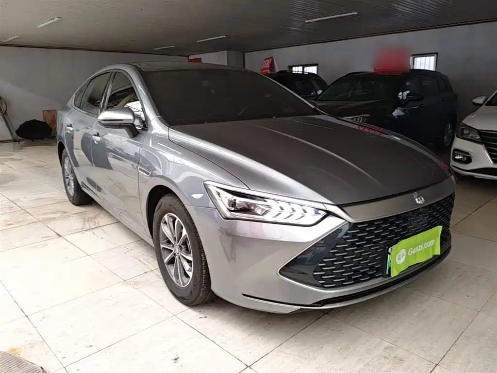 BYD Qin PLUS 2024 Glory Edition DM-i 55KM Leading фото 4