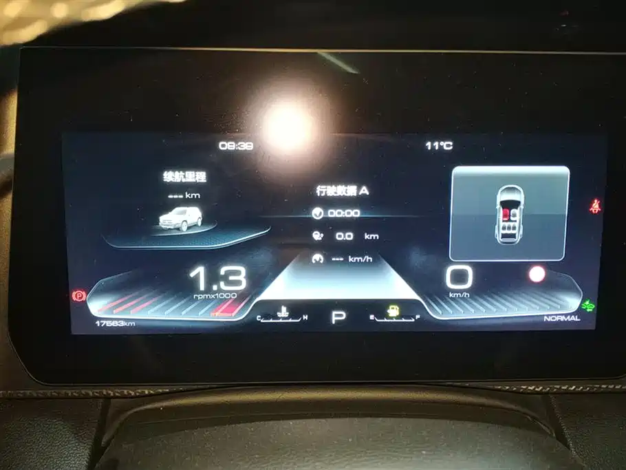 Haval Big Dog 2024 1.5T DCT Border Collie Edition фото 14