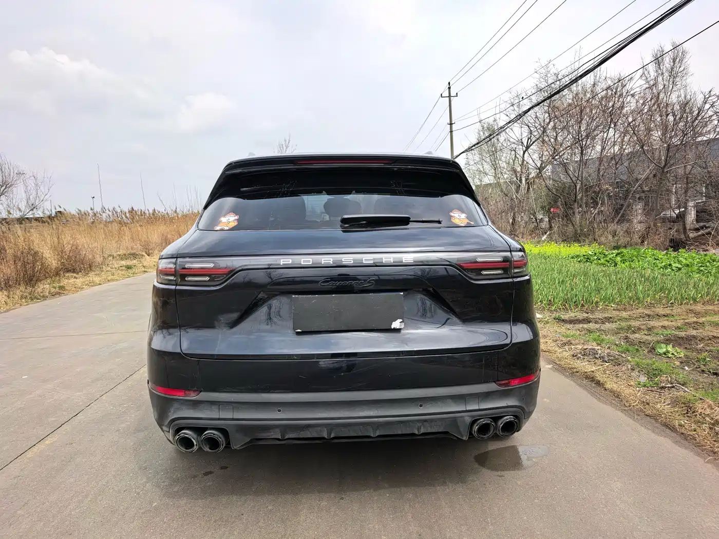 PORSCHE CAYENNE NEW ENERGY