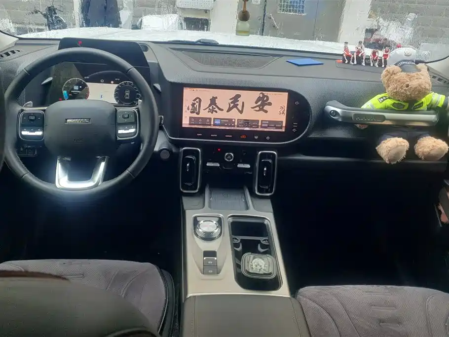 Haval Big Dog 2024 1.5T DCT Border Collie Edition фото 12