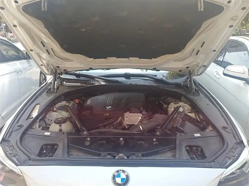BMW 5 Series 2017 525Li Luxury Design Package фото 20