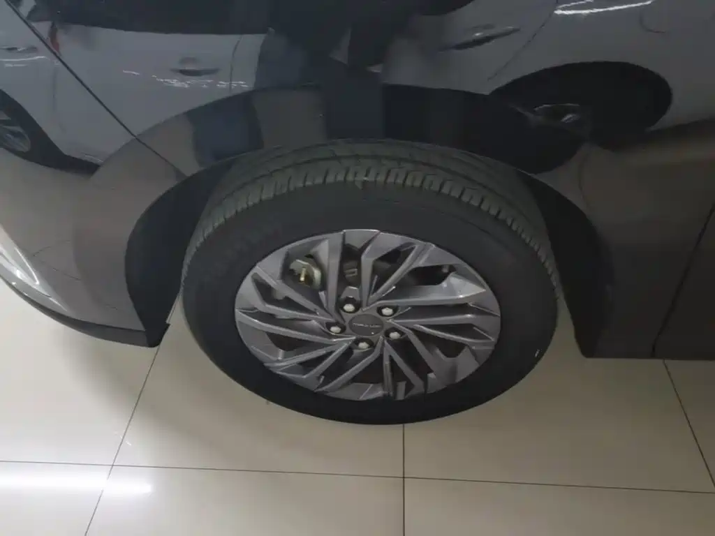 Фото 23 - Maxus Maxus G50